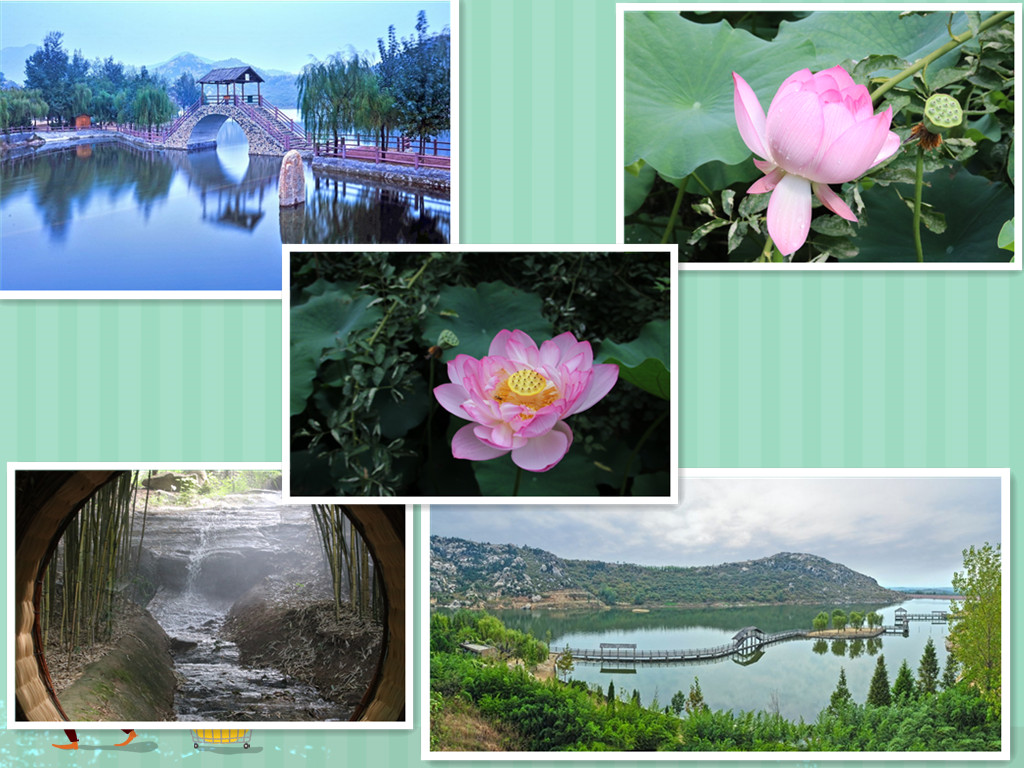 景色荷花.jpg 景色荷花.jpg